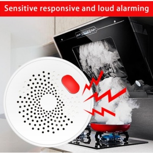detector gaz techstar alarma vizuala si sonora