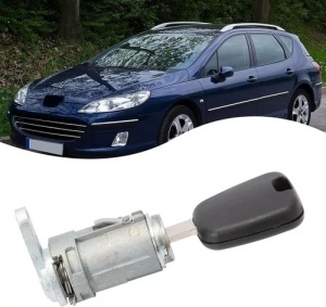 Pozitionare pe vehicul: zona maner usa Peugeot 307/407 si cheie inclusa