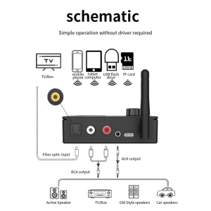 Convertor Audio Digital la Analog Techstar – schema conexiuni intrare si iesire