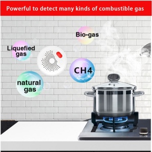 detectare gaz metan techstar cu alarma puternica