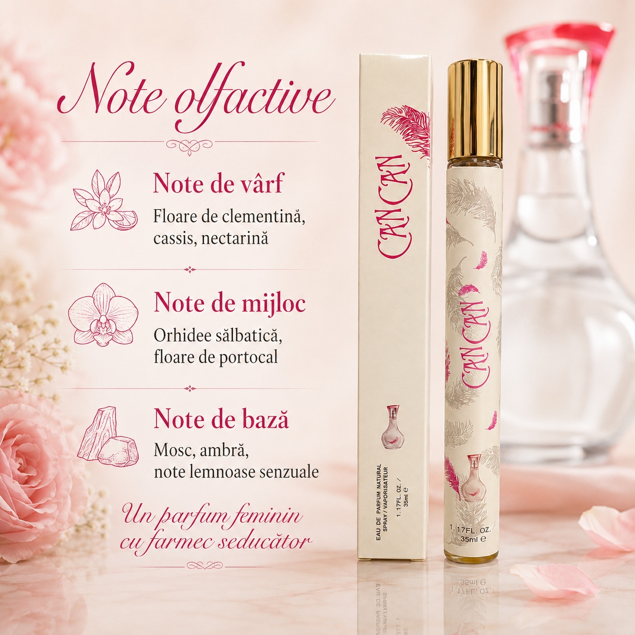 Note olfactive Can Can floare de clementină cassis nectarină orhidee sălbatică floare de portocal mosc și ambră