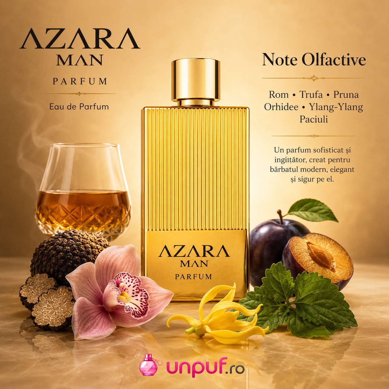 Azara Man Fragrance World note olfactive rom trufă prună orhidee ylang ylang paciuli parfum intens și sofisticat