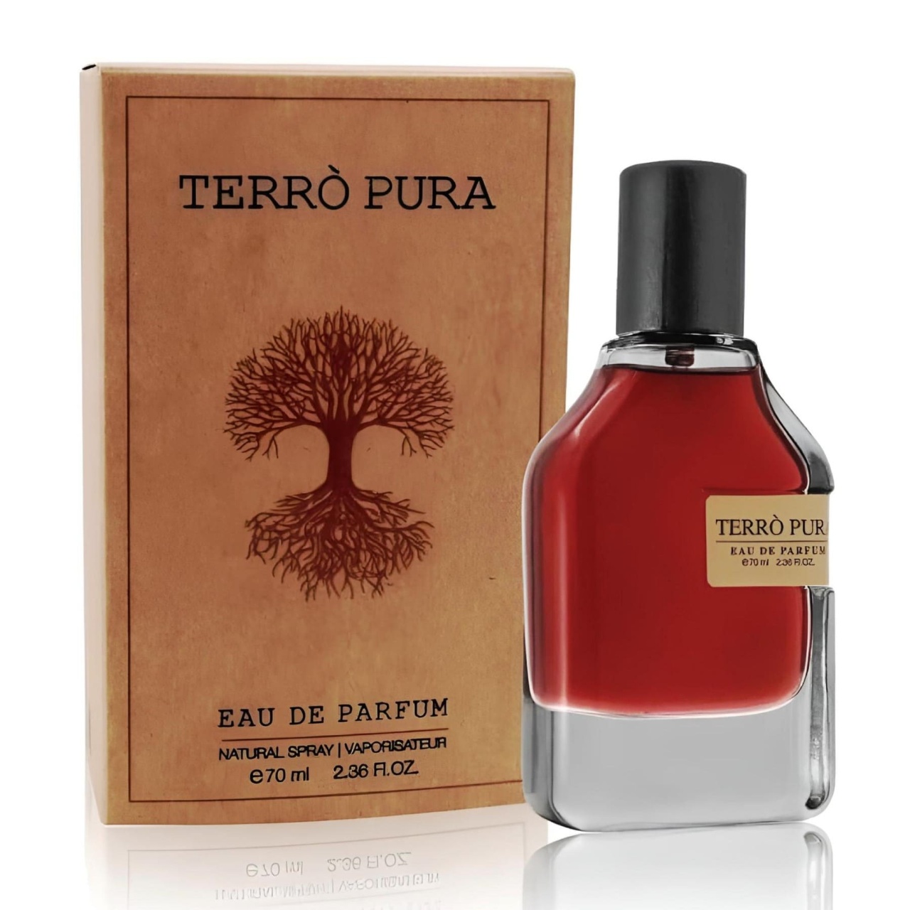 Imagine produs Fragrance World Terro Pura 100 ml cu flacon și cutie pe fundal alb
