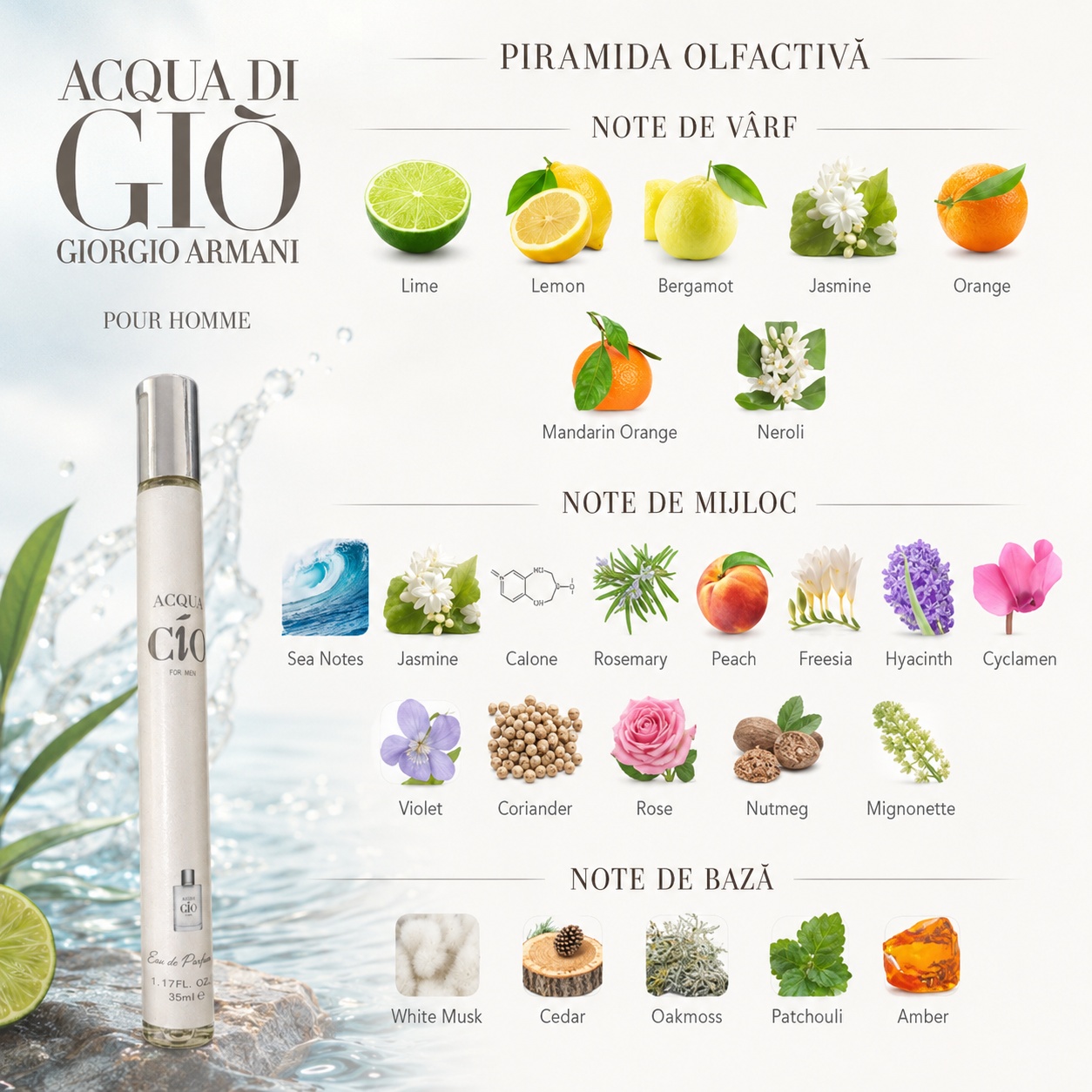 Piramida olfactivă Acqua Cio For Man lime lăm&acirc;ie bergamotă note marine rozmarin mosc alb cedru paciuli și ambră