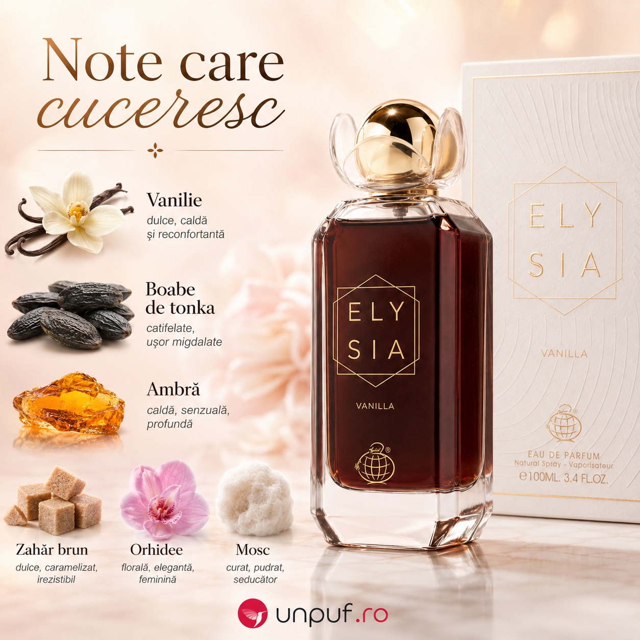 Elysia Vanilla note care cuceresc vanilie boabe de tonka ambră zahăr brun orhidee și mosc