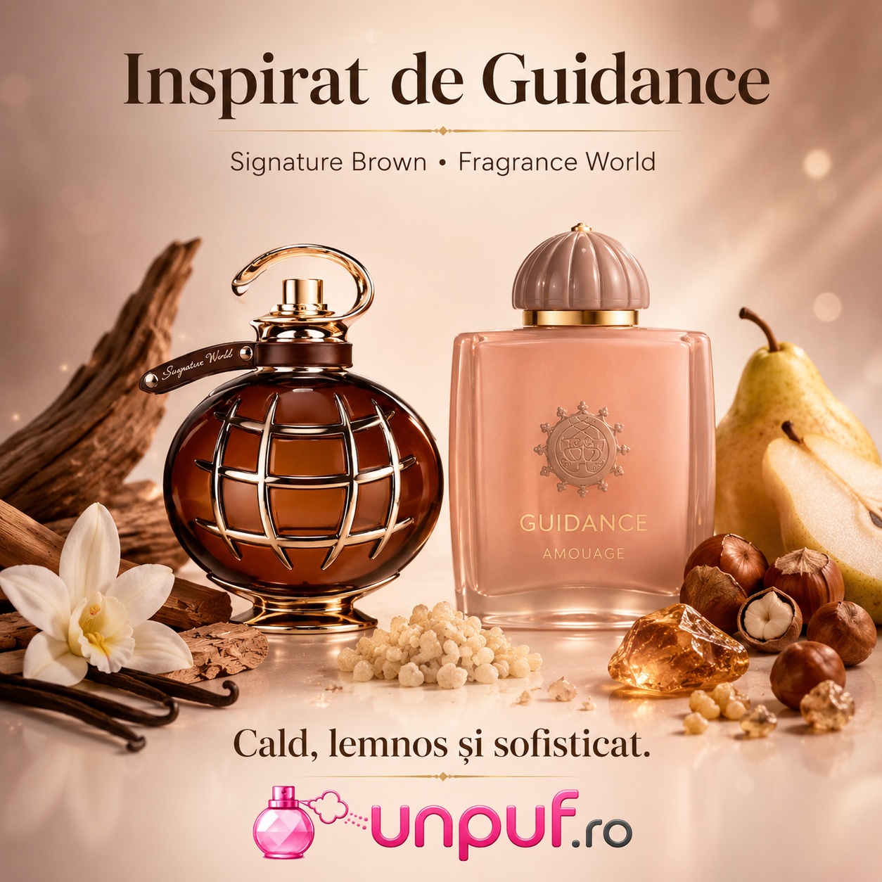 Signature Brown Fragrance World inspirat de Guidance parfum cald lemnos și sofisticat