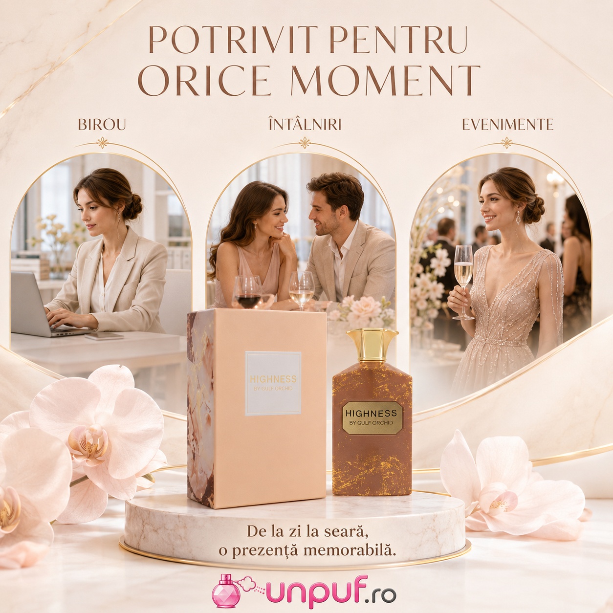 Gulf Orchid Highness potrivit pentru birou, întâlniri, seară și evenimente speciale