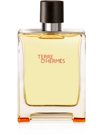 Hermes Terre D' – Apă de toaletă 100 ml, bărbați - Img 4