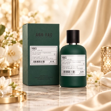 Vibes, Aro Fac parfum barbati inspirat de Montblanc Explorer,EDP,100 ml