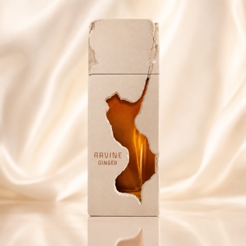 Parfum Arăbesc Ravine Ginger French Avenue EDP 100 ml Unisex, Inspirat Ingenious Ginger, Aromă Aromatic Orientală Fresh Condimentată cu Ghimbir, Lămâie, Bergamotă, Flori Albe, Lavandă, Ambră, Lemn de Cedru, Mosc și Vanilie - Img 2