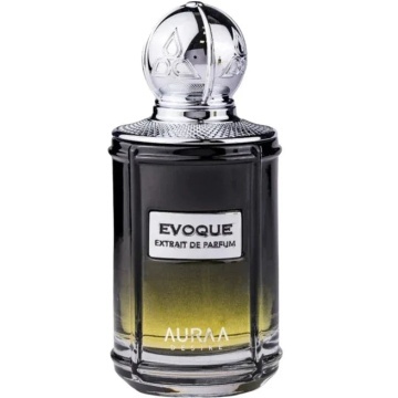 Parfum Auraa Desire Evoque 100 ml