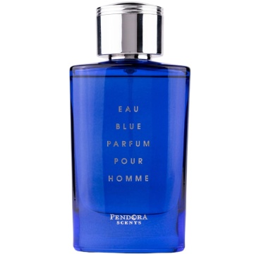 Parfum Eau Blue Parfum Pour Homme Pendora Scents 100 ml, Apa De Parfum, Barbati - Img 2