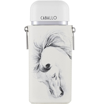 Parfum Arăbesc Armaf Caballo Pour Homme 100 ml, Apă de Parfum Bărbat, Aromă Citrică, Fresh, Elegantă și Masculină, Inspirată de Galloway - Img 12