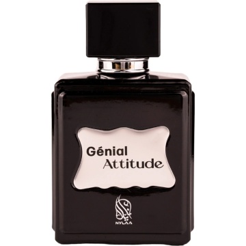Parfum Genial Attitude Nylaa 100 ml, Apa De Parfum, Barbati - Img 2