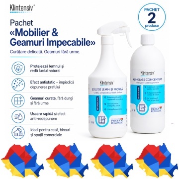 Pachet curatare mobilier si geamuri Klintensiv Professional, solutie pentru lemn si mobila, Klinglass Concentrat pentru sticla, 2 produse, 2x 1 L. 4x Stickere