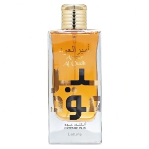 Parfum Arăbesc Ameer Al Oudh Intense Lattafa 100 ml, Apă de Parfum Unisex, Damă și Bărbat, Inspirat By The Fireplace Maison Margiela, Aromă Oriental Ambrată Lemnoasă Dulce cu Șofran, Nucșoară, Absint, Labdanum, Mușcată, Note Lemnoase, Oud, Pielărie și Van - Img 12