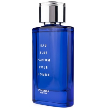 Parfum Eau Blue Parfum Pour Homme Pendora Scents 100 ml, Apa De Parfum, Barbati - Img 3