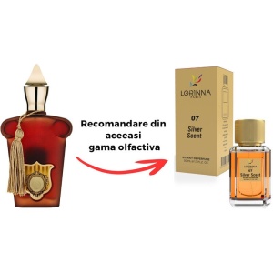 Set Extract de Parfum Lorinna Paris Parfum Silver Scent, 50 ml, Unisex Damă Bărbat si Gentuță Parfumuri - Img 2