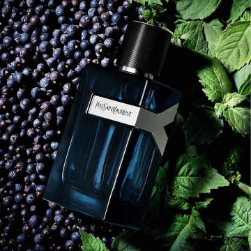 Yves Saint Laurent Y Intense – Apă de parfum 100 ml, bărbați - Img 4
