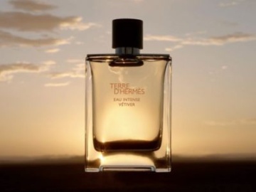 Hermes Terre D'Hermés Eau Intense Vetiver – Apă de parfum 200 ml, bărbați - Img 3
