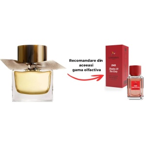 Set Apă de Parfum Lorinna Paris Parfum Shades Of Grey 50 ml, de Damă si Gentuță Parfumuri - Img 2