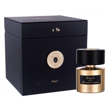 Tiziana Terenzi Bigia – 100 ml, unisex