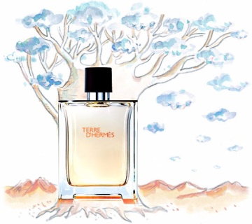 Hermes Terre D' – Apă de toaletă 100 ml, bărbați - Img 3