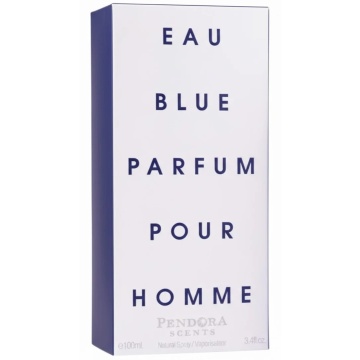 Parfum Eau Blue Parfum Pour Homme Pendora Scents 100 ml, Apa De Parfum, Barbati - Img 4