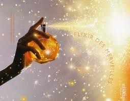 Hermes Elixir des Merveilles – Apă de parfum 50 ml, damă - Img 3
