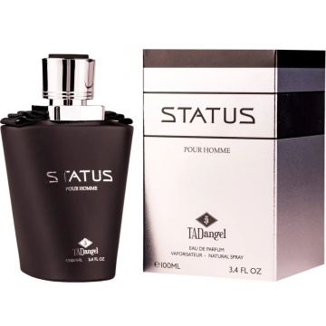 Parfum Tad Angel Status Homme Edp 100 ml