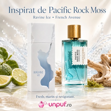 Parfum Arăbesc Ravine Ice French Avenue EDP 100 ml Unisex, Inspirat Pacific Rock Moss, Aromă Aromatic Acvatică Rece cu Grapefruit, Lămâie, Mentă, Geranium, Lavandă, Note Marine, Ambroxan, Cedru și Mosc - Img 8