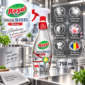 Solutie curatat Inox Steel Royal Hygiene – 750 ml - Img 6