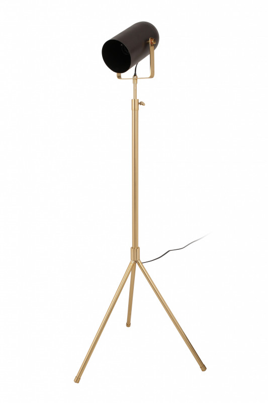 Lampadar din otel/alama/fier Celeste, negru/auriu, un bec 27x53x133-163 cm