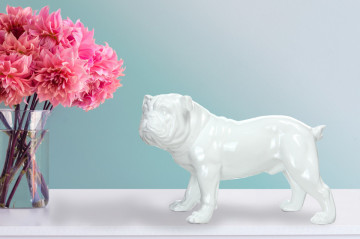 Decoratiune Bulldog, alb - Img 3