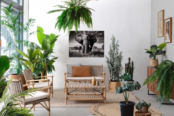 Fotoliu Tarifa cu pernă, din ratan, finisaj natural, 68.5 x 70 x 80 cm - Img 10