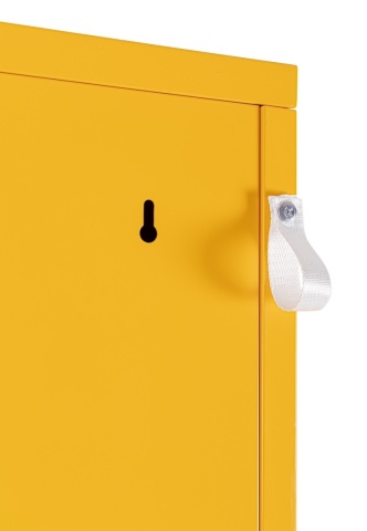 Dulap Cambridge, cu 1 ușă, din oțel, vopsit electrostatic, galben, 46x38x185 cm - Img 12