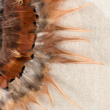 Tablou Feather headdress I 60cm x 60cm - Img 3