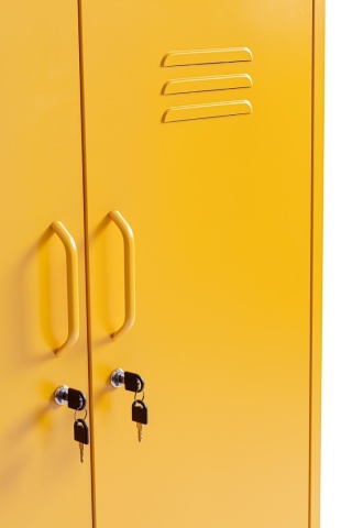 Dulapior Cambridge, cu 2 uși și 2 rafturi ajustabile, din metal vopsit electrostatic, galben, 80x40x101.5 cm - Img 6