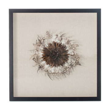 Tablou Feather headdress II 60cm x 60cm