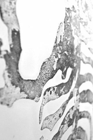 Tablou Serengeti 50cm x 150cm - Img 3
