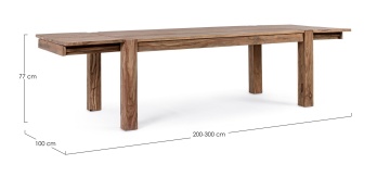 Masă extensibilă Salford pentru 12 persoane, din lemn de sheesham, finisaj natural, 200-300x100 cm - Img 3