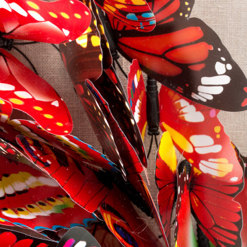 Tablou Butterfly 80cm x 80cm - Img 4