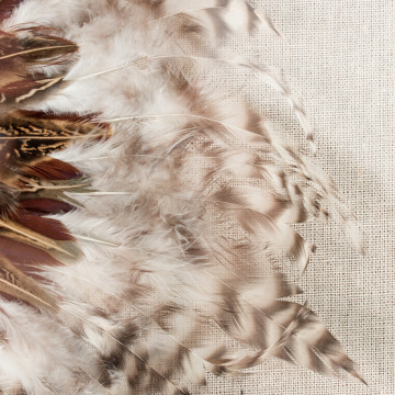 Tablou Feather headdress II 60cm x 60cm - Img 3
