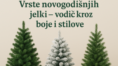 Najlepše vrste novogodišnjih jelki za 2025: vodič kroz boje i stilove