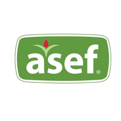 Asef