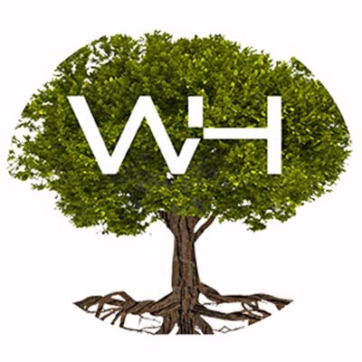 Wood Holz