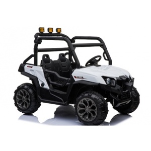 Automobil na akumulator Bagi Dvosed 309