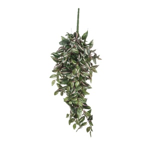 Cvet Tradescantia 80cm zelena 040455 - Img 1