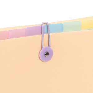Expanding organizer sa 6 pregrada i gumicom USPRAVNI Rainbow Pastel - Img 4