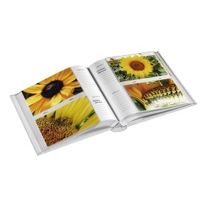 Foto Album LILY TREE Beli Hama 02355 - Img 2